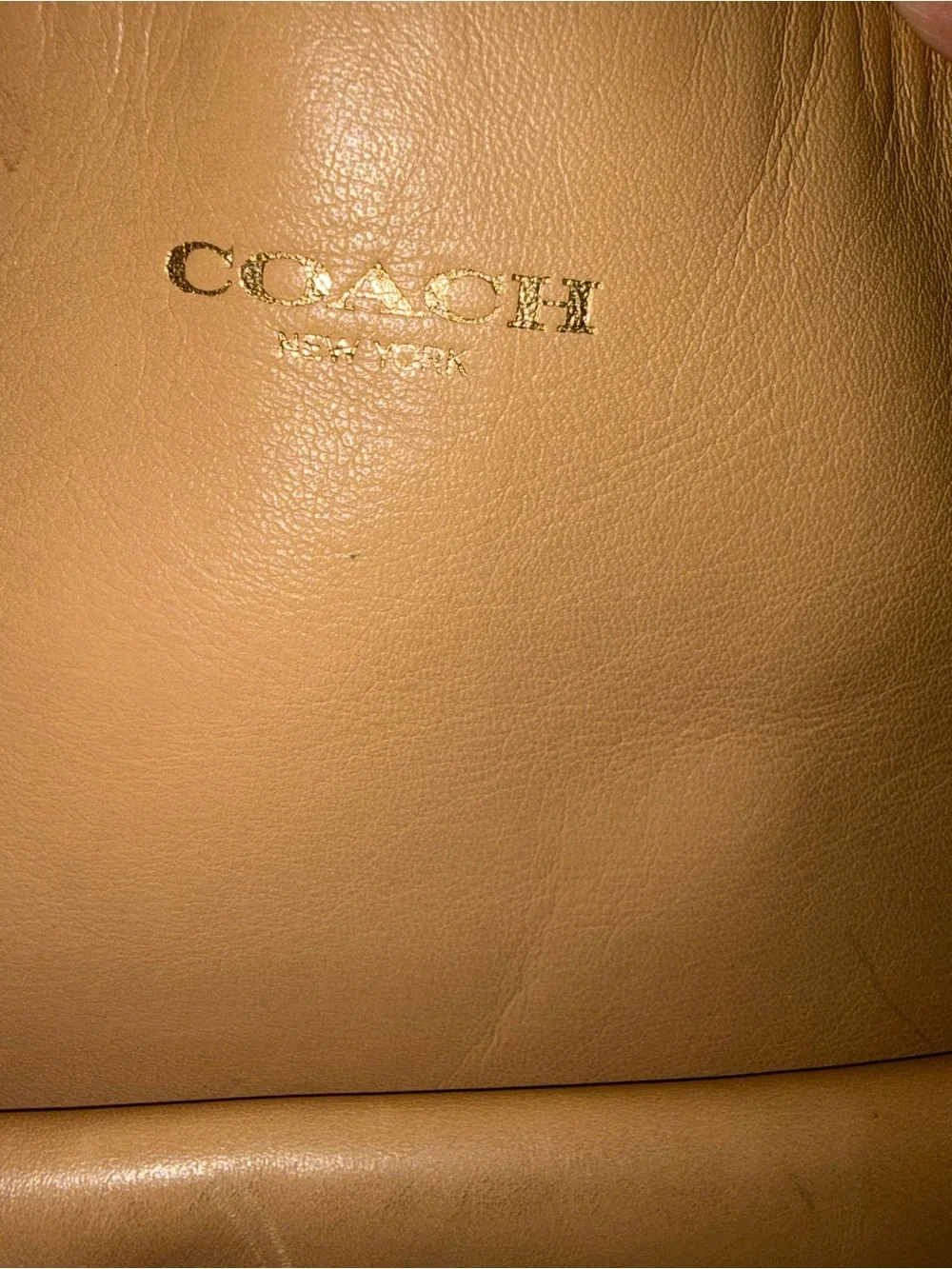Coach Leather Shoulder Bag in Light Beige/Tan